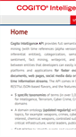 Mobile Screenshot of intelligenceapi.com